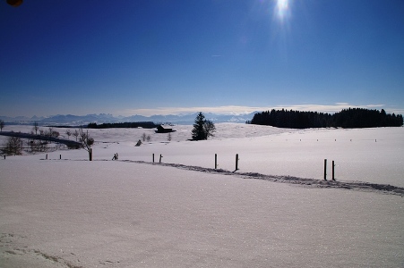 Aktuelles aus Eschach im Allgäu